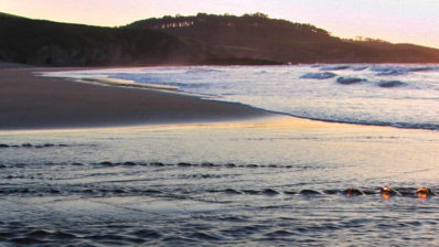 Las mareas: Cómo el Surf depende de ellas
